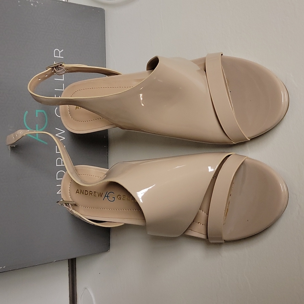 A beautiful and elegant Andrew Geller heel